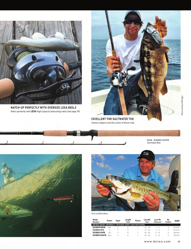 Daiwa Fishing Tackle 2016 Catalog !, Page 87