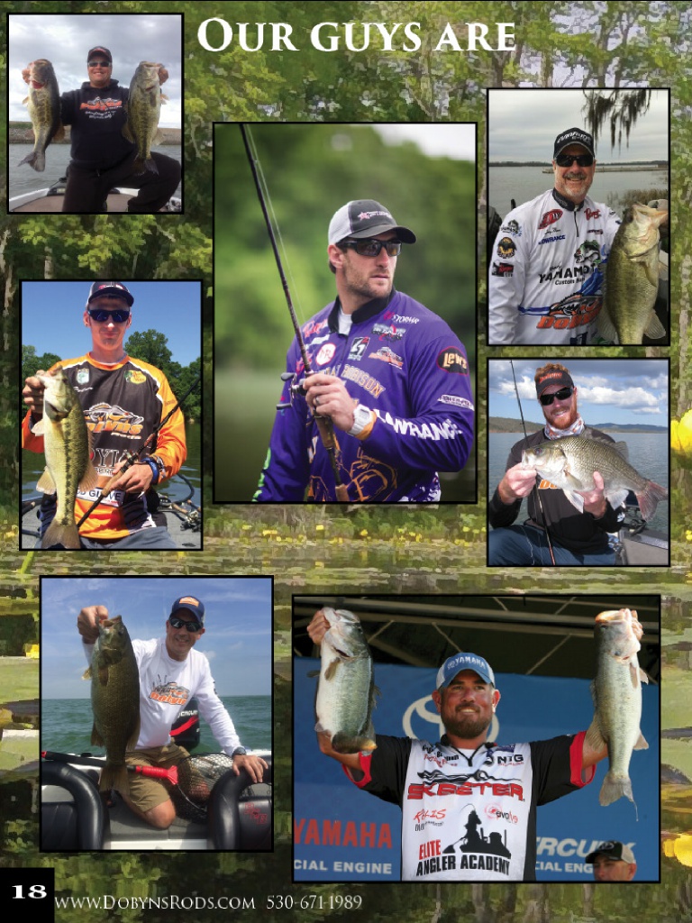 Dobyns Rods 2016 Catalog !, Page 18