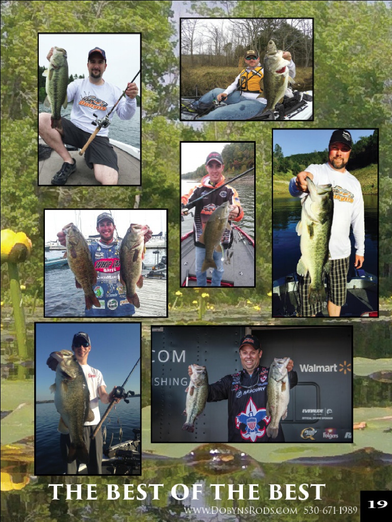 Dobyns Rods 2016 Catalog !, Page 19