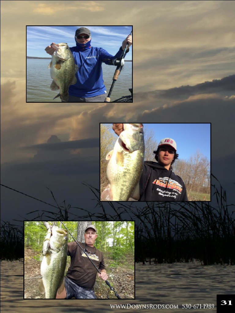 Dobyns Rods 2016 Catalog !, Page 31