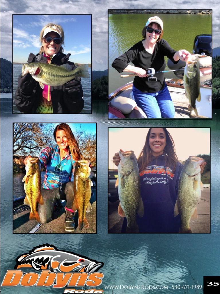 Dobyns Rods 2016 Catalog !, Page 35