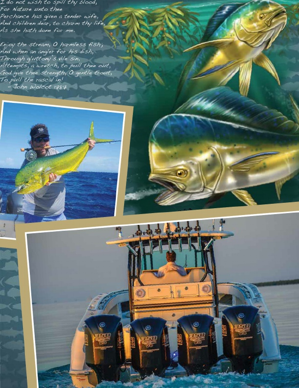 Flying Fishermen 2016 Catalog !, Page 15