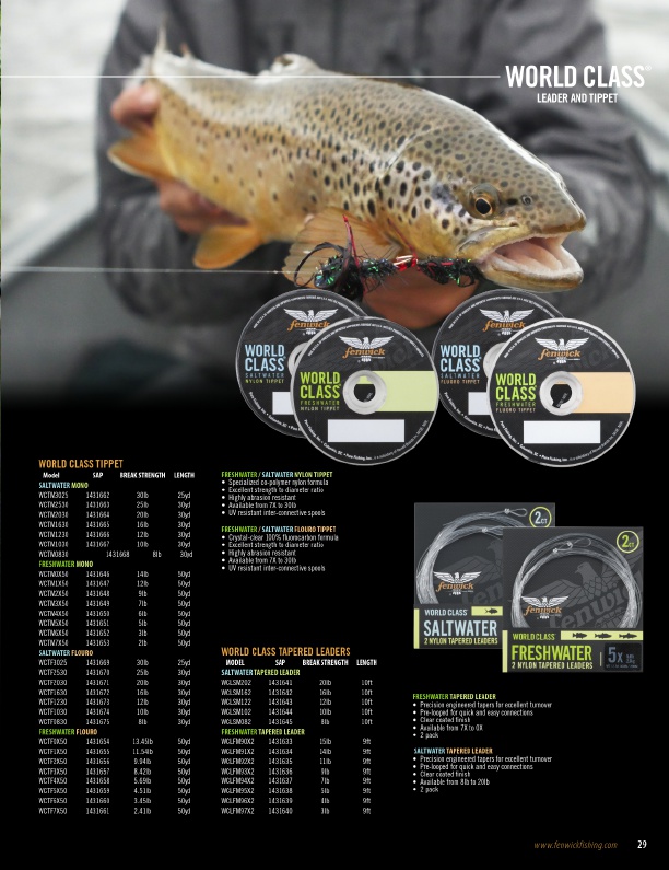 Fenwick 2019 Product Catalog#, Page 31