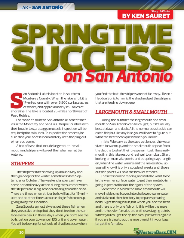 Springtime Success On San Antonio by Ken Sauret