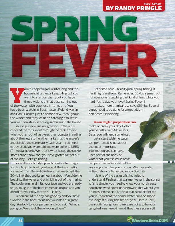 Spring Fever by Randy Pringle
