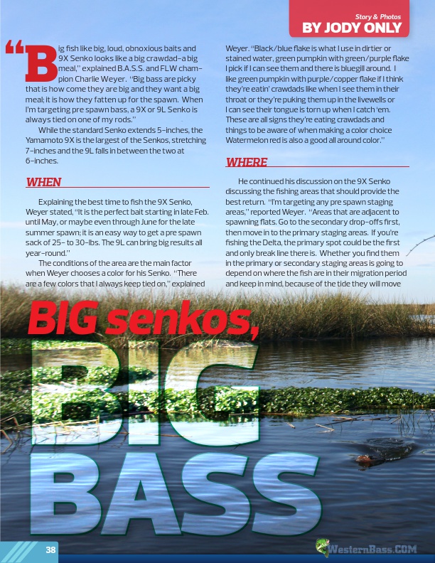 Big Senkos, Big Bass by Jody Only