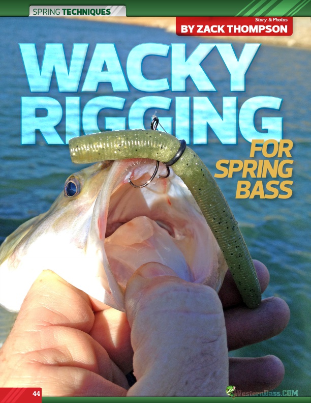 Wacky Rigging From Spring Bass by Zack Thompson