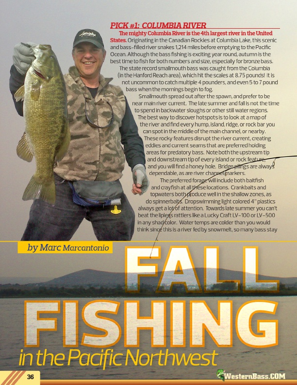 Westernbass Magazine August 2011, Page 36