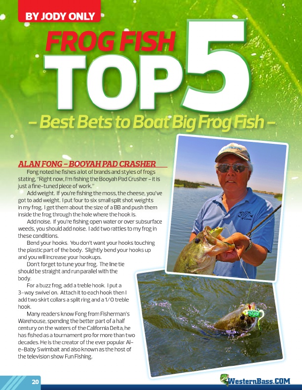 Frog Fish Top 5 by Jody Only