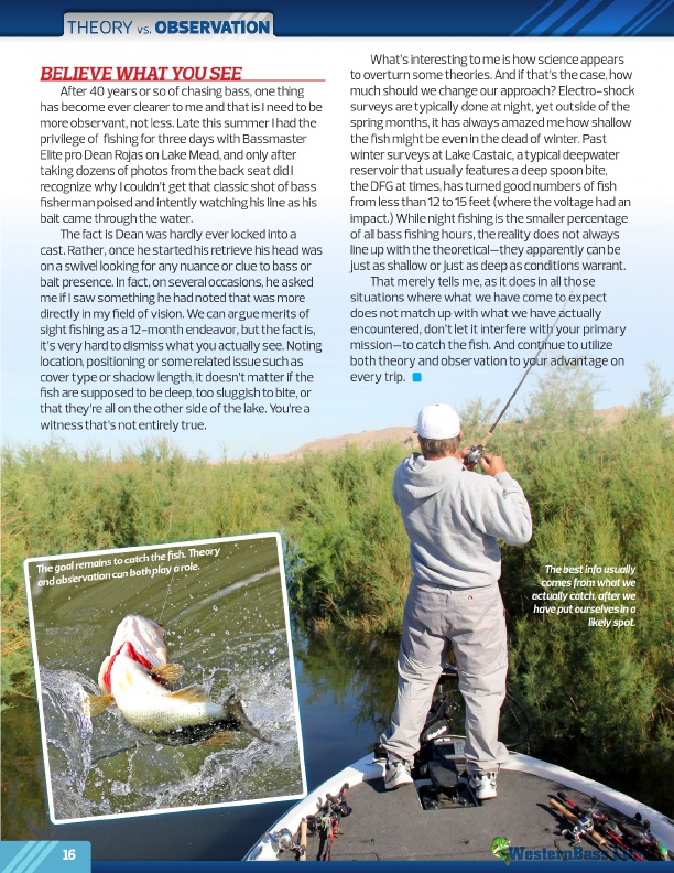 WesternBass Magazine December 2011, Page 16