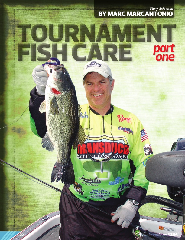 Tournament Fish Care:
Part One
by Marc Marcantonio