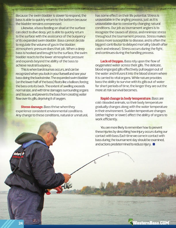 Westernbass Magazine - FREE Bass Fishing Tips And Techniques - Fall 2013, Page 24
