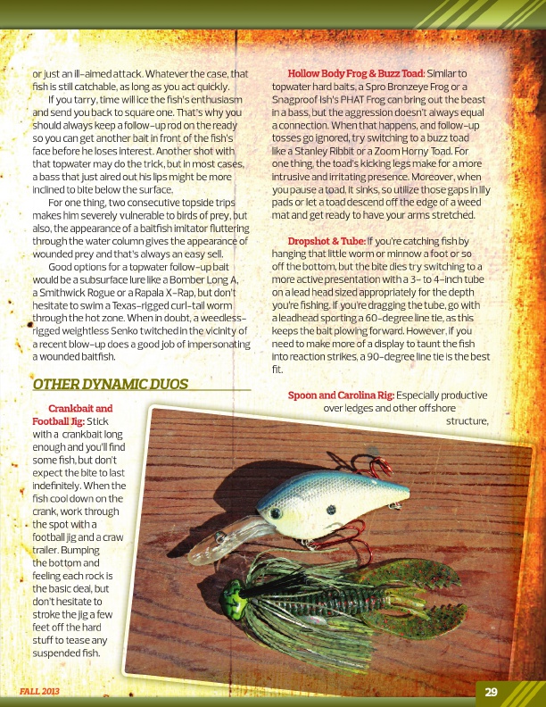 Westernbass Magazine - FREE Bass Fishing Tips And Techniques - Fall 2013, Page 29