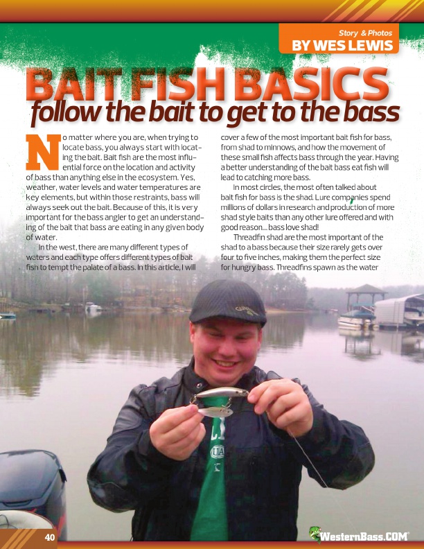 Bait Fish Basics :
Follow The Bait
To Get To The Bass
by Wes Lewis