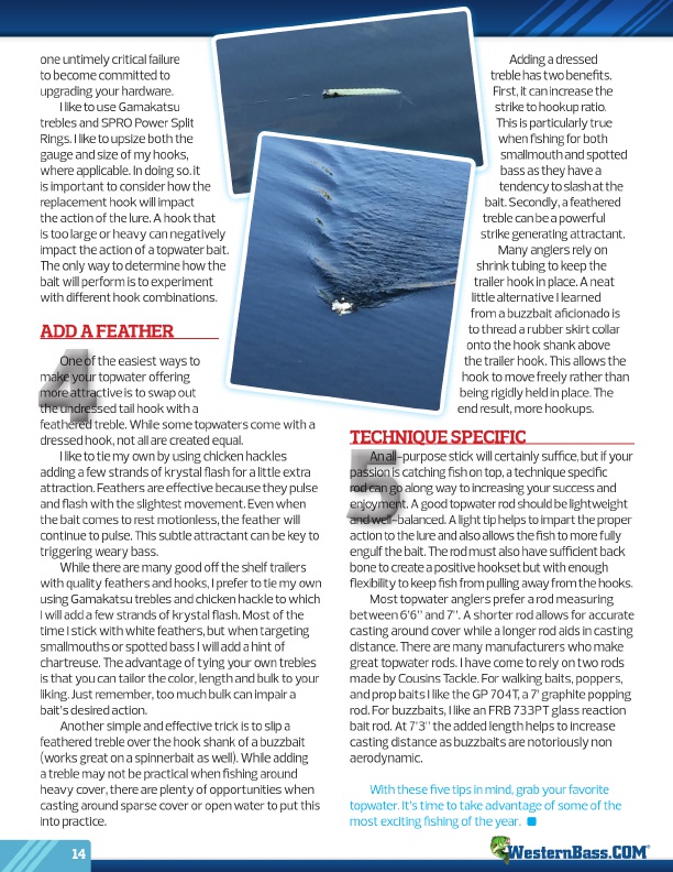Westernbass Magazine - FREE Bass Fishing Tips And Techniques - Fall 2015, Page 14