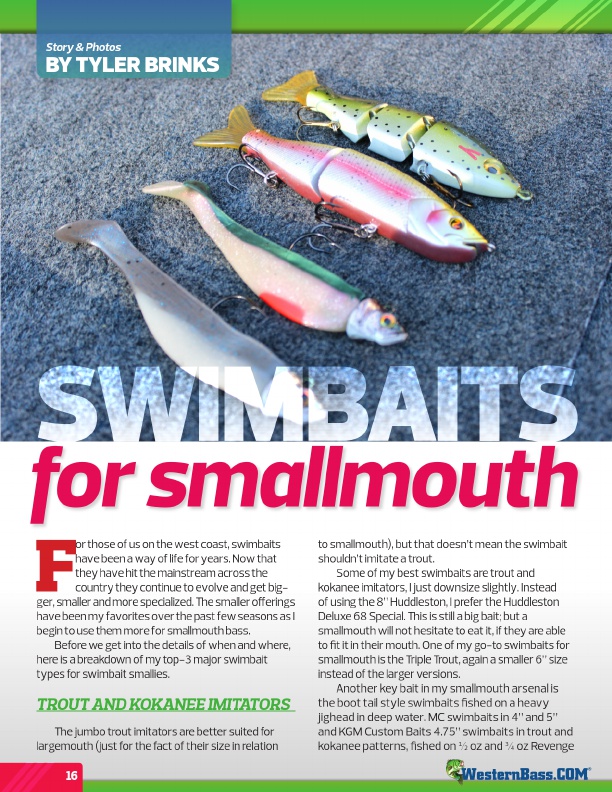 Swimbaits For Smallmouth
by Tyler Brinks