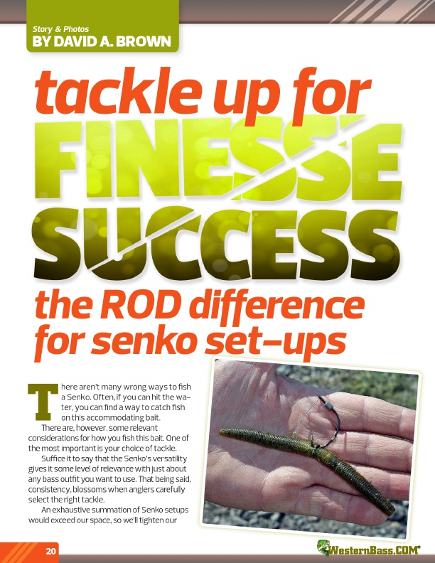 Tackle Up For Finesse 
Success: The Rod Difference For Senko Set-ups
by David A. Brown