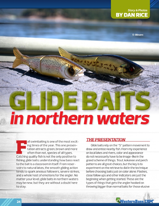 Glide Baits 
In Northern Waters
by Dan Rice
