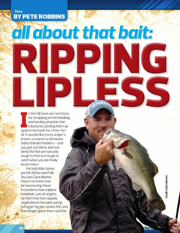 All About That Bait: 
Ripping Lipless
by Pete Robbins