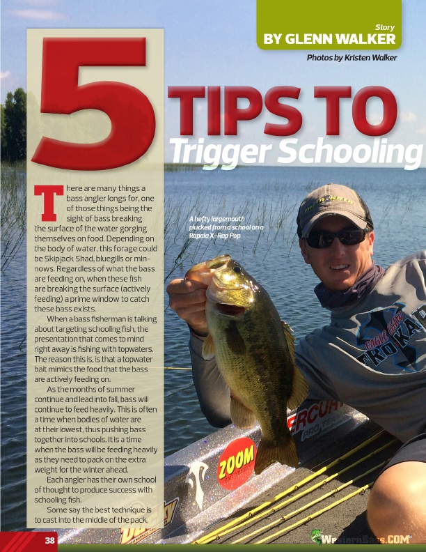 HOW-to Trigger 
Schooling Bass 
by Glenn Walker