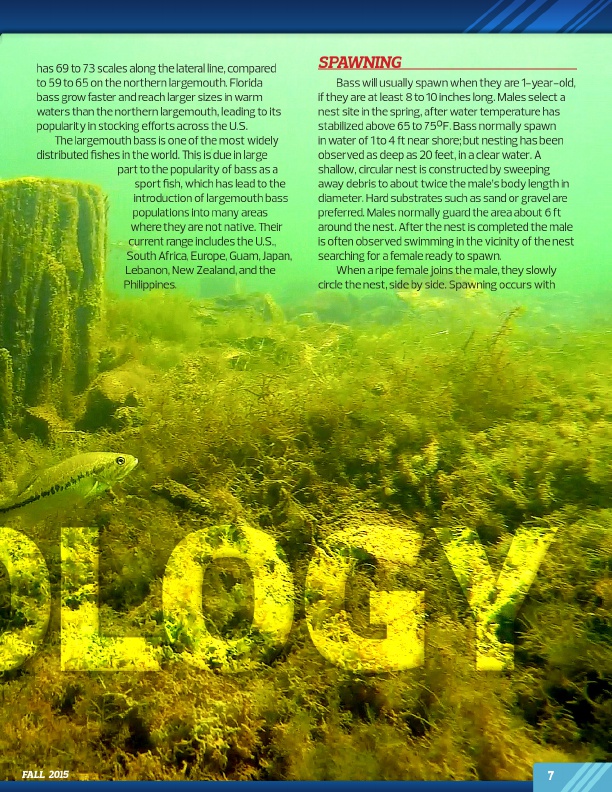 Westernbass Magazine - FREE Bass Fishing Tips And Techniques - Fall 2015, Page 7