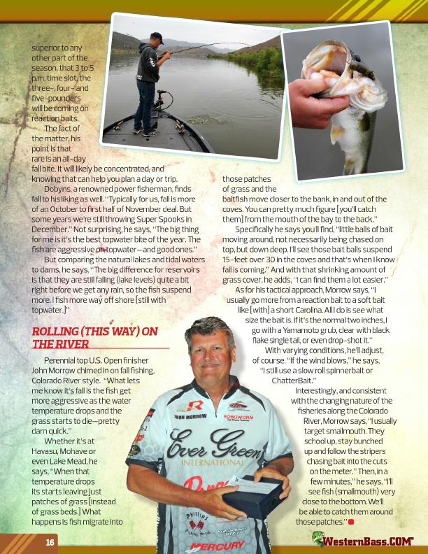 Westernbass Magazine - FREE Bass Fishing Tips And Techniques - Fall 2016, Page 16