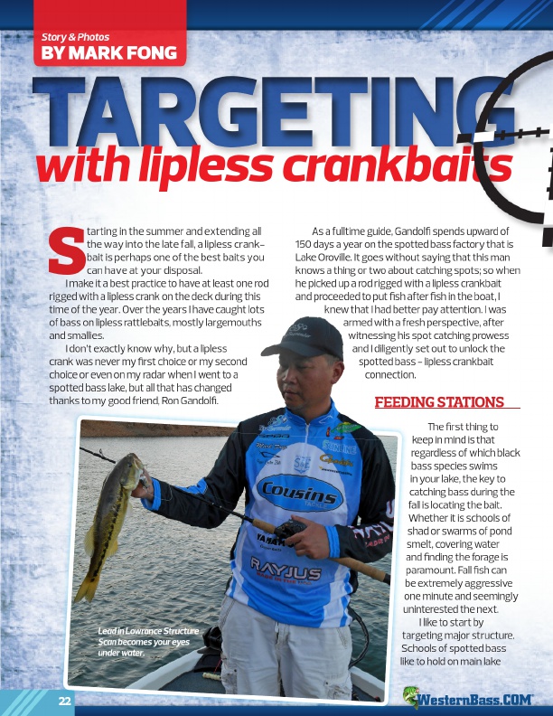 Targeting Fall Spots 
With Lipless Crankbaits
By Mark Fong