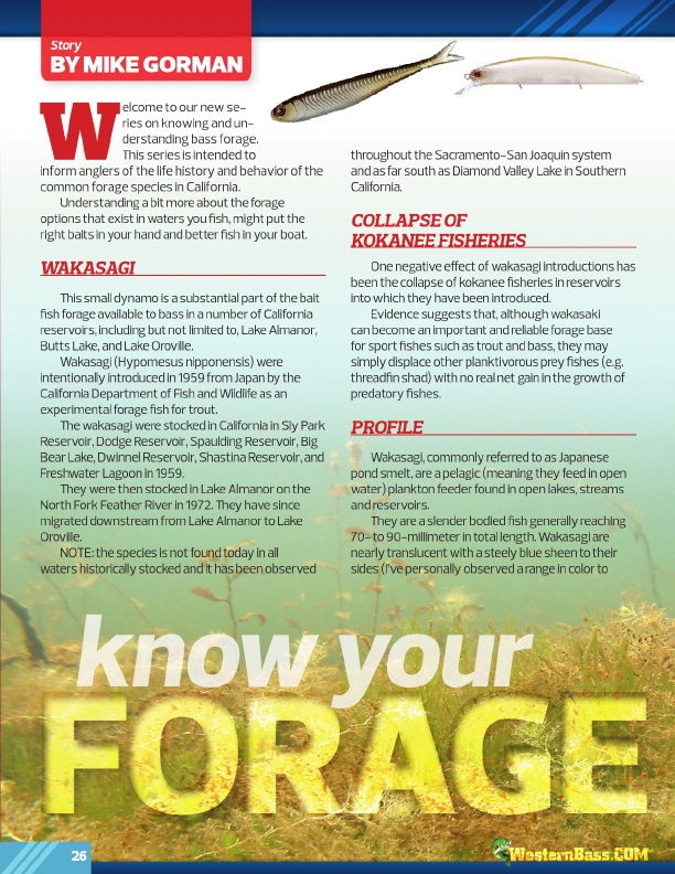 Know Your Forage
By Mike Gorman