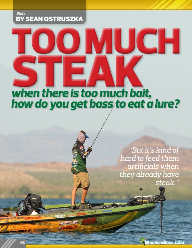 Too Much Steak - When There Is Too Much Bait, 
How Do You Get Bass 
To Eat A Lure?
By Sean Ostruszka