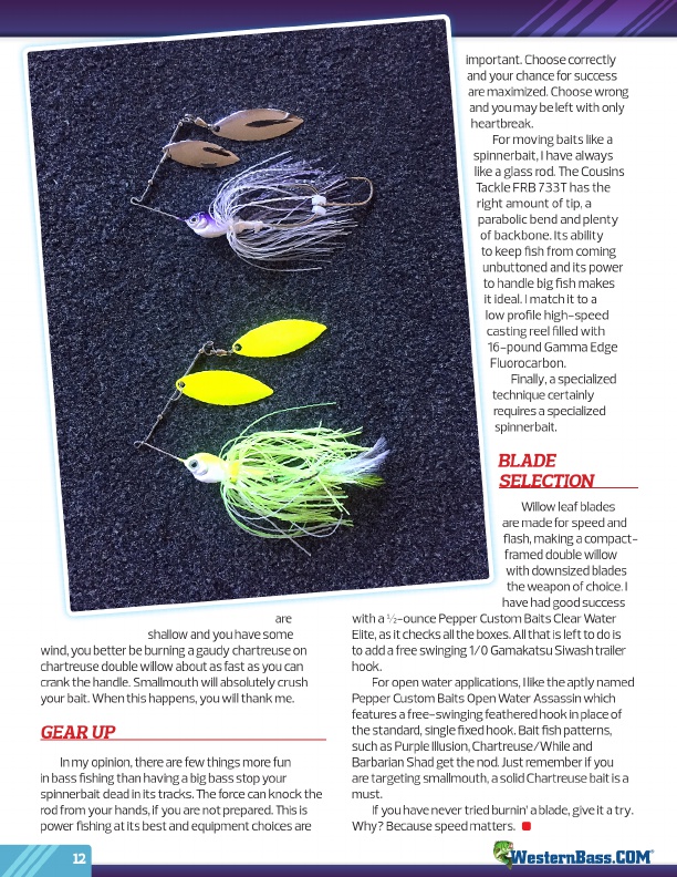 Spinnerbait a multi-species application