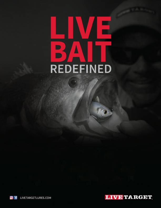 The LiveTarget Swimbaits is made to perfectly imitate baifish, featuring anatomically correct profiles and a natural swimming action
