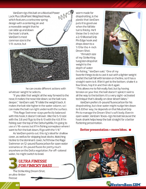 Bass Fishing with Plastics for Fall