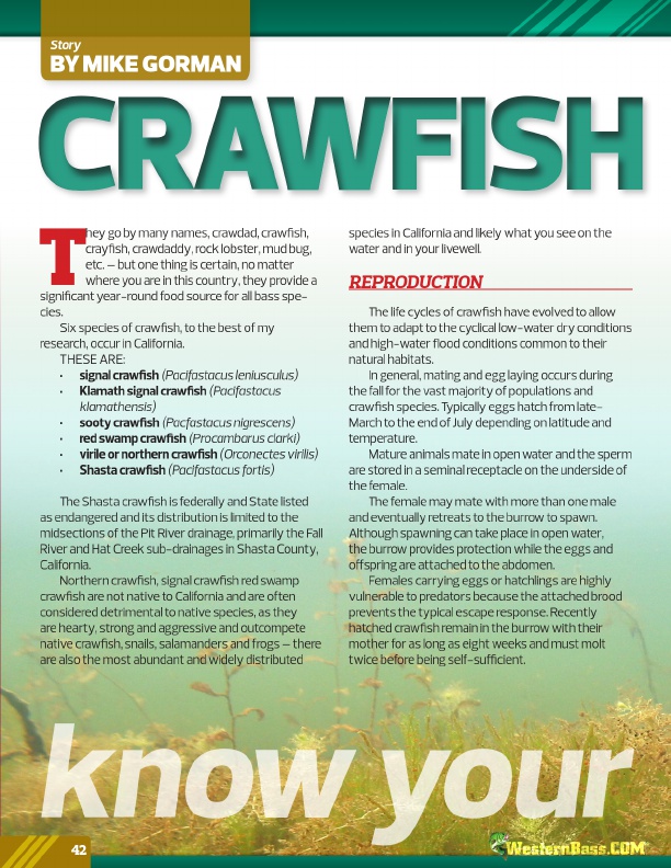 know crawdad behavior to target bass