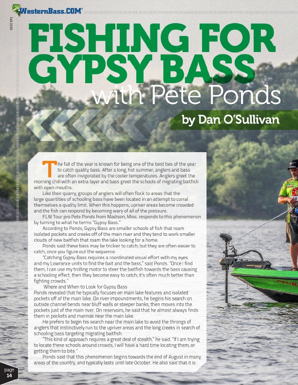 How-To Target Gypsy Bass