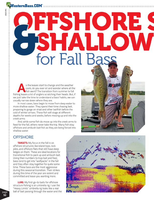 Fall Bass Targets | Offshore and Shallow