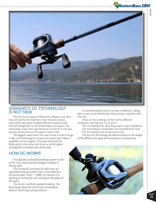 Heres What You Need to Know About the Shimano Curado DC
