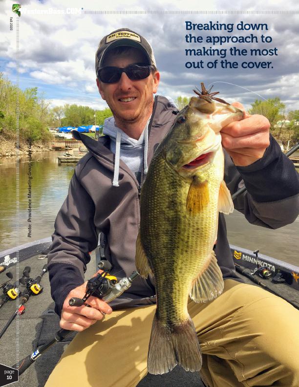 Dissecting Laydowns for Fall Bass Fishing