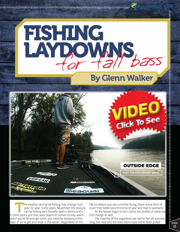 Targeting Laydowns for Fall Fishing