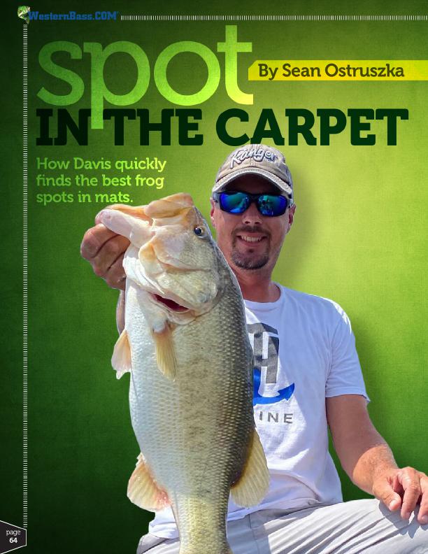 Targeting the Best Spots for Froggin the Mat