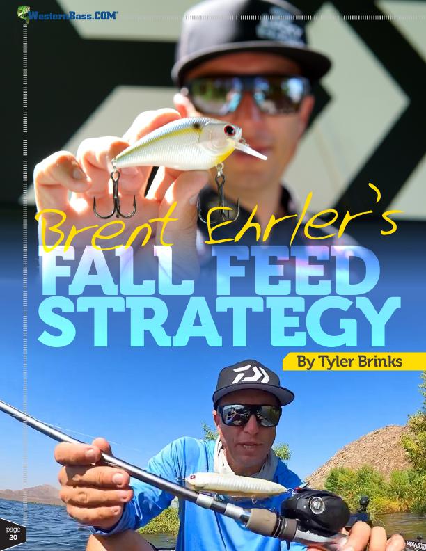 Brent Ehrler’s Fall Feed Strategy 
By Tyler Brinks