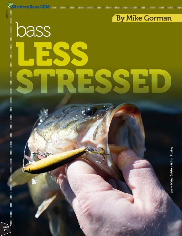 bass fishing biology