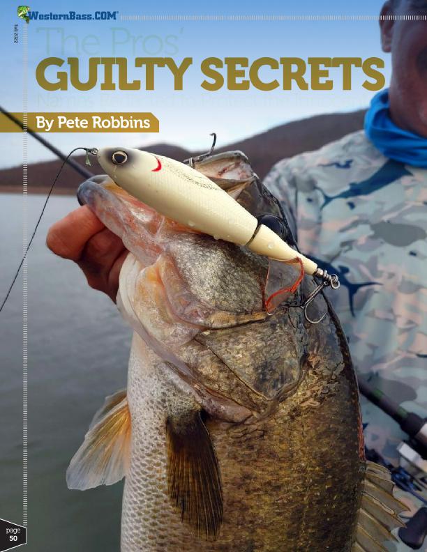 bass fishing the secret lures of pros