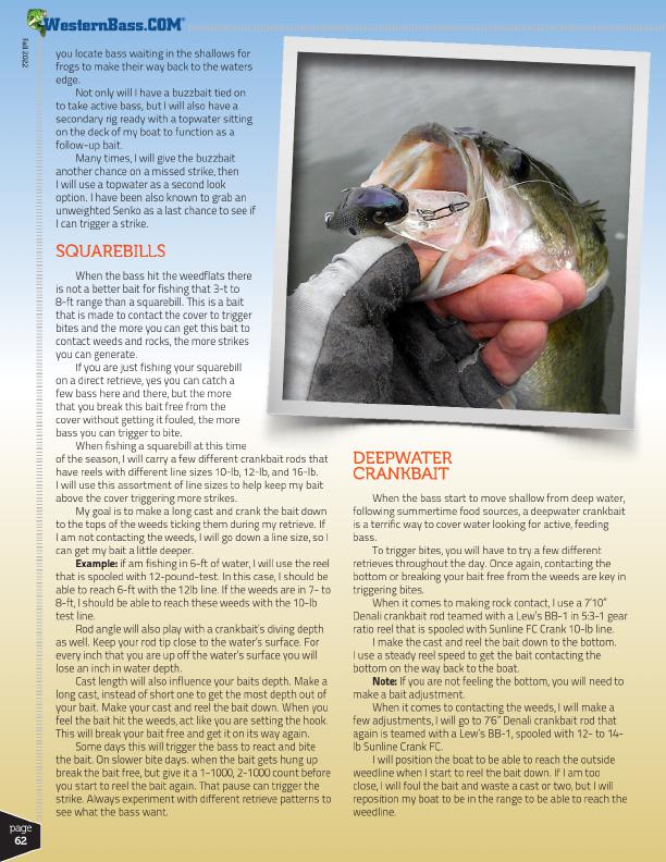 Fishing with Fall Staples by Scott M. Petersen, Page 3