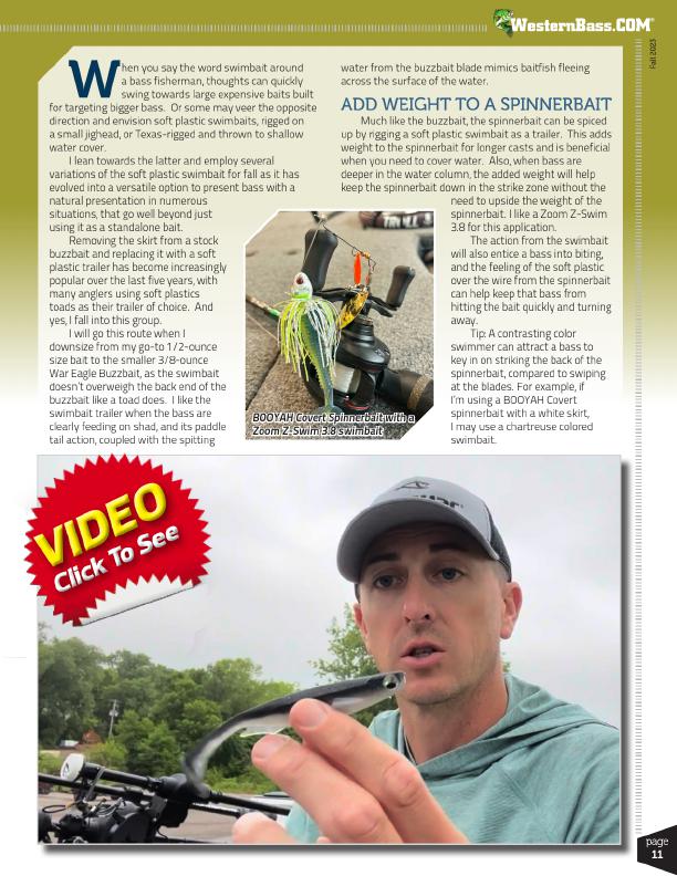 Swimbaits Tips for More Bass, Page 2