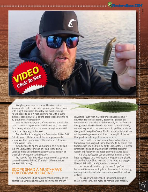 Jig & Dropshot Lures – Page 15 –