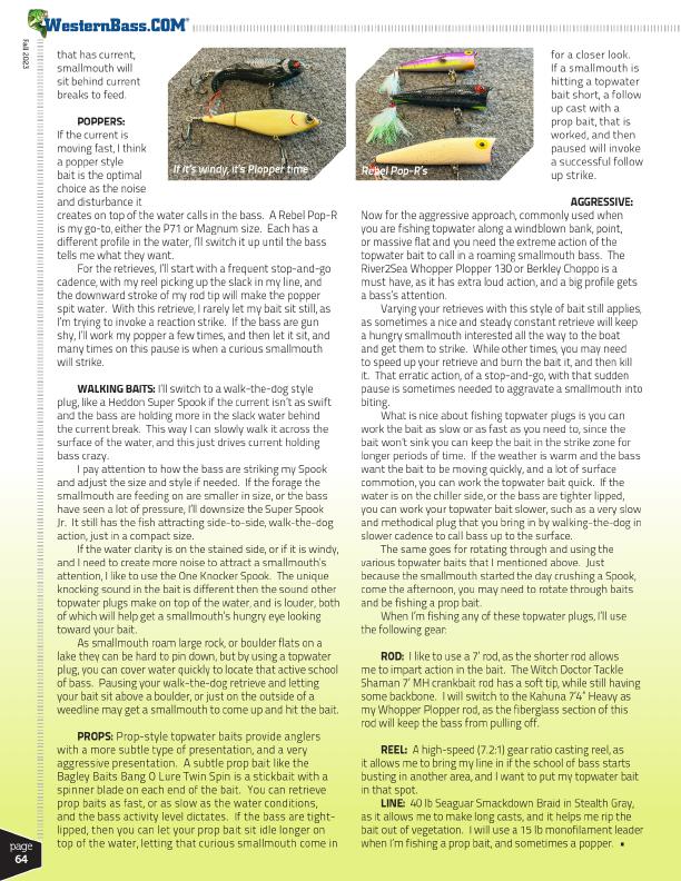 Dialing in a Topwater Cadence for Fall Smallmouth, Page 3