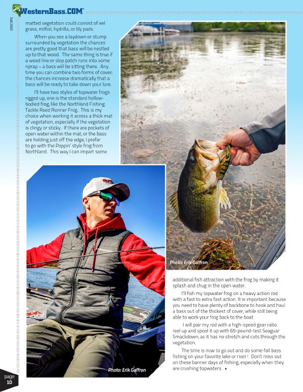 Weedless, Hollow-Bodied, Perfection