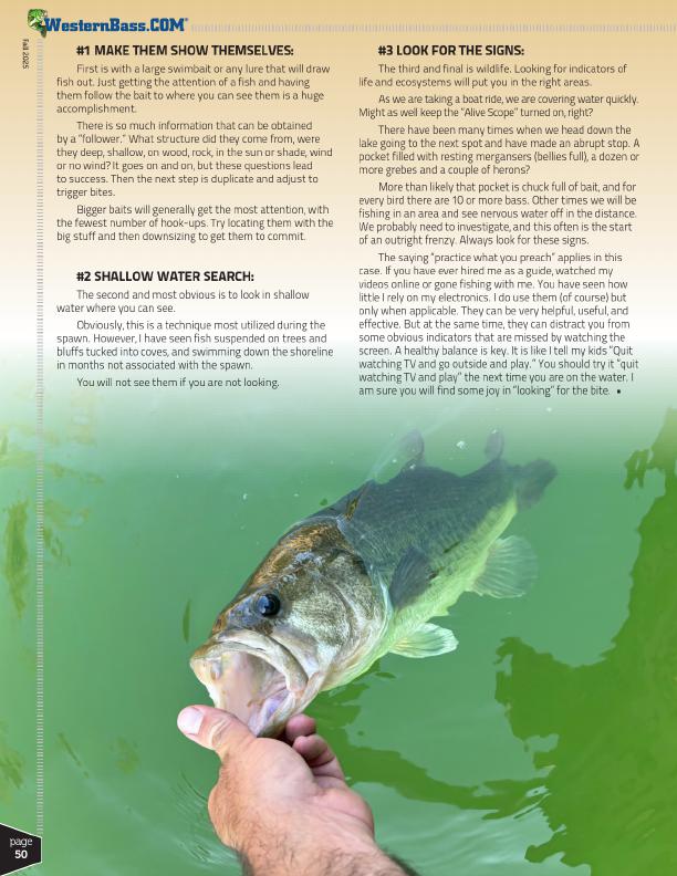 Daiwa, tatula sv baitcaster, bass fishing gear, daiwa, swimbait reel, tatula 300, jfluoro, fishing braid, fishing line, pro angler, fishing equipment