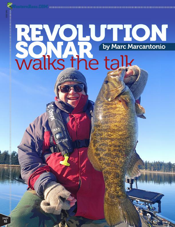 Revolution Sonar Walks the Talk provides practical, seasonal guidance for bass anglers, outlining key techniques, tackle choices, and decision frameworks to improve consistency and results across common fall conditions