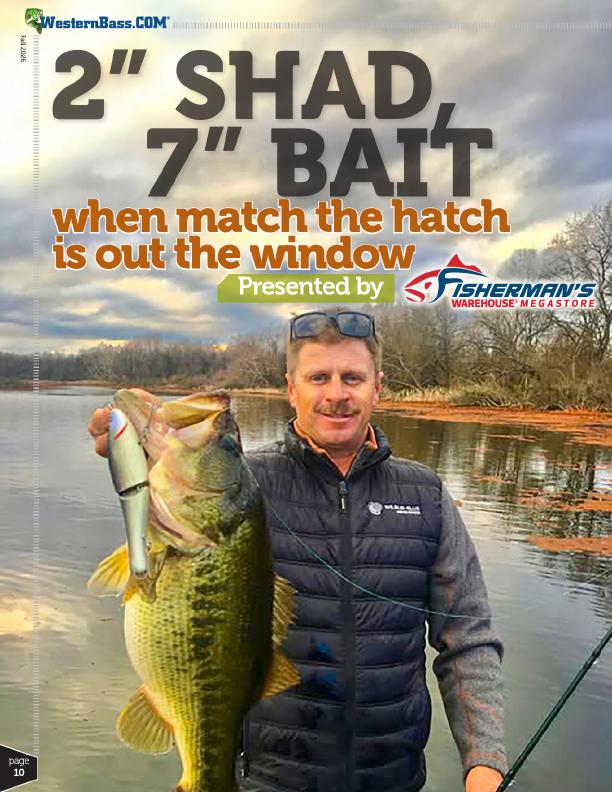 Two-Inch Shad, Seven-Inch Bait When to Go Big for Fall Bass, Page 2